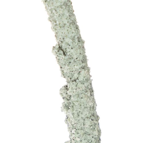 Metal Decoration Ring with Wooden Base for Dried Flowers, 52cm Height | Floristik24.co.uk