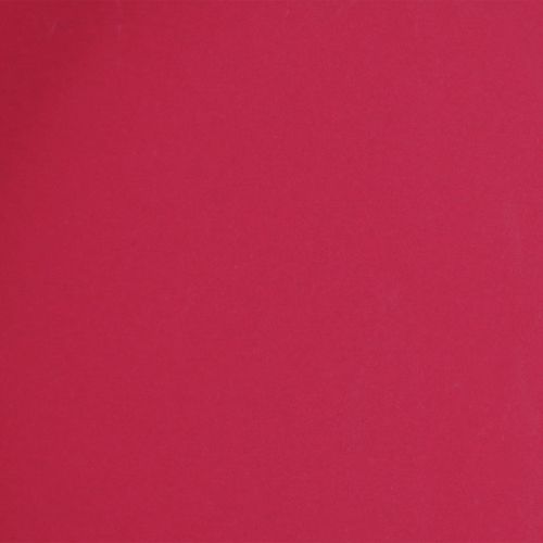 Product Versatile tray, practical storage for dining room and terrace, 22cm