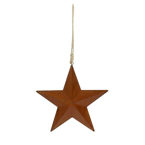 Floristik24 Metal star for hanging rust 21cm