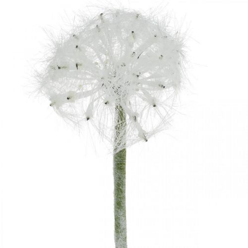 Floristik24 LED dandelion for battery white artificial flower lighting H50cm