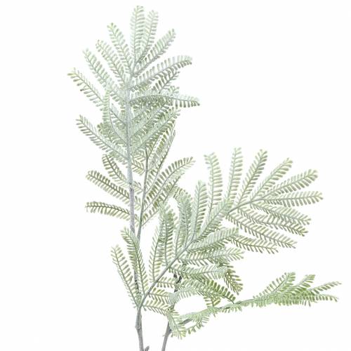 Decorative branch mimosa green frost effect 63cm