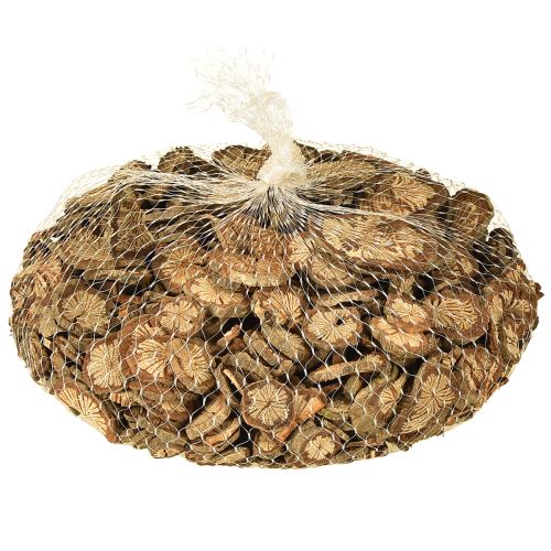 Product Mini wooden discs betel nut decoration with grain 1-4.5cm 300g