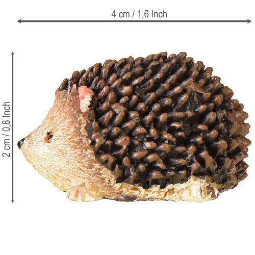 Floristik24 Mini hedgehog decorative figures autumn hand-painted 4×2.5×2cm 6 pieces