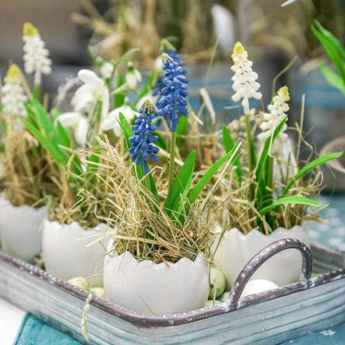 Floristik24 Mini plant pot eggshell white Ø8cm H7cm 4pcs