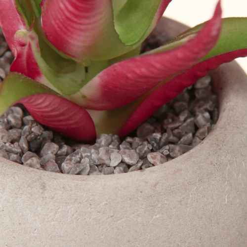 Product Mini Succulents in Pot Artificial Plants Decoration Ø6.5cm 6pcs