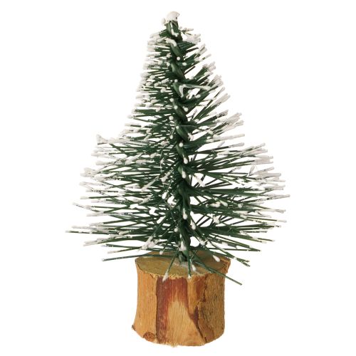 Floristik24 Mini fir trees snow-covered winter forest Ø5cm H8cm 12 pcs