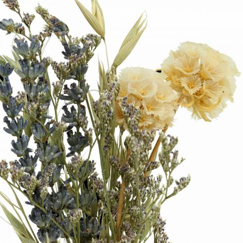 Floristik24 Mini bouquet of dried flowers boho, dried flowers floristry L22cm