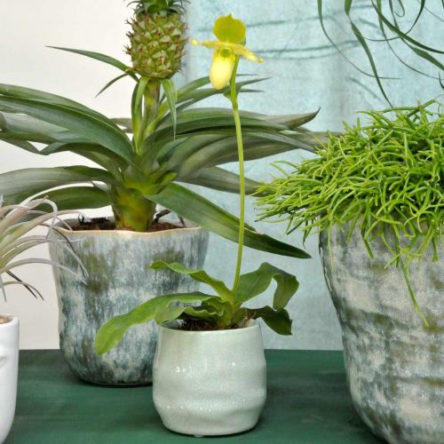 Floristik24 Mini cachepot, ceramic vessel, decorative lantern, plant pot wave pattern Ø8cm 6pcs