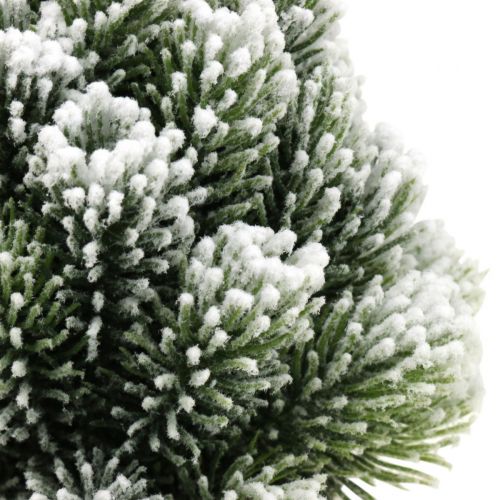 Floristik24 Mini Christmas tree in a pot artificially snowed Ø14cm H24cm