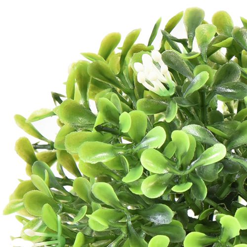 Product Mini boxwood ball with flowers box ball green Ø10cm