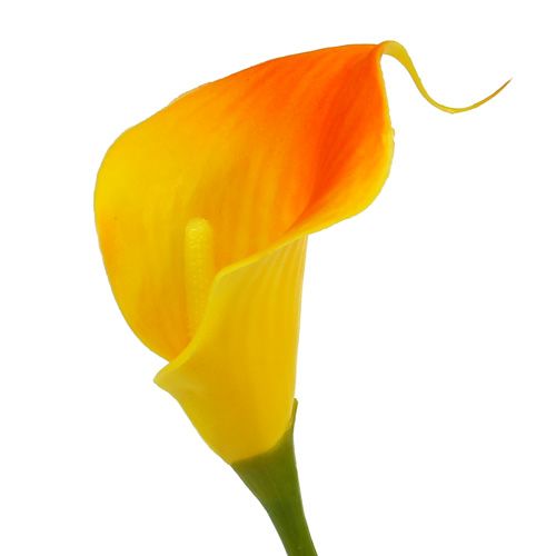 Product Mini calla artificial yellow 28cm 12pcs