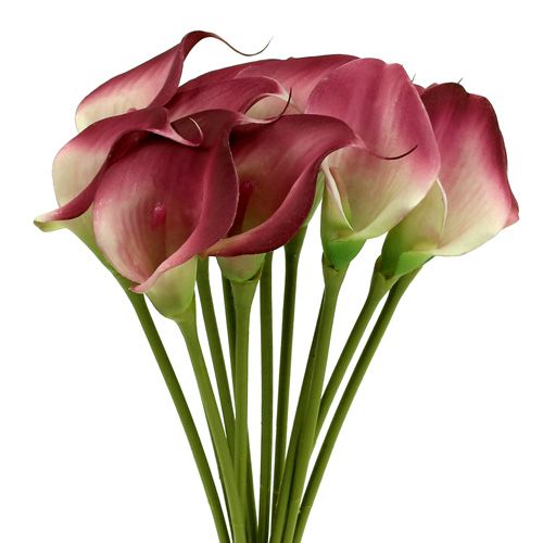 Product Mini Calla artificial 28cm Erika, Cream 12 pcs