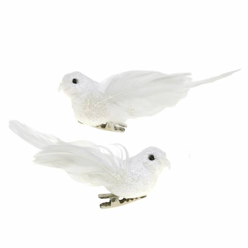 Floristik24 Mini pigeon on the clip 9cm 2pcs