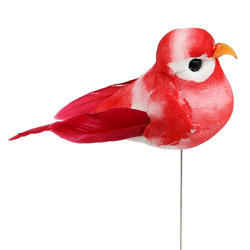 Floristik24 Mini Bird assorted 7cm 12pcs