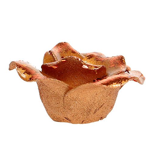 Floristik24 Mini roses copper 4cm 8pcs