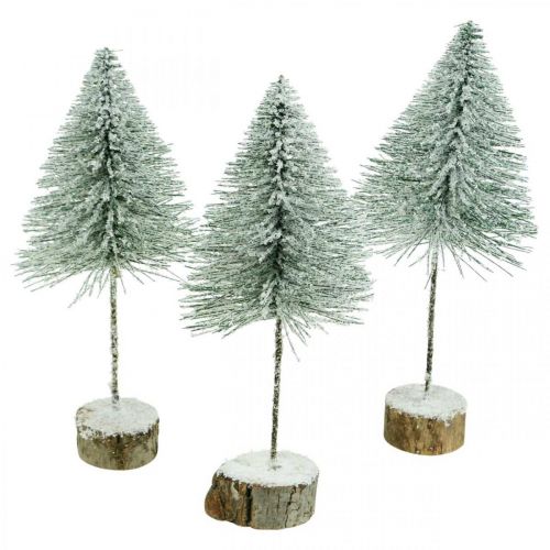 Floristik24 Decorative fir trees, winter decorations, Christmas tree, Advent H30 / 32cm Ø13.5cm set of 3