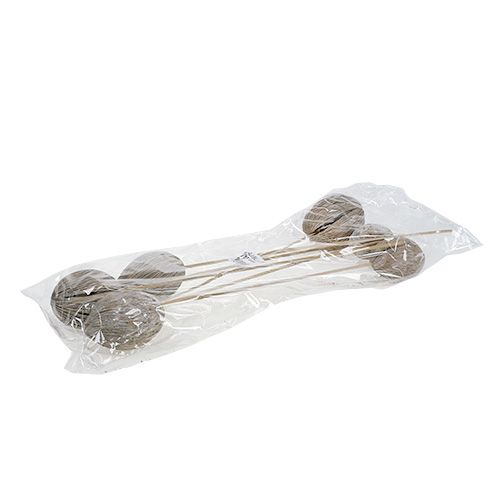 Product Mintolla Ball on Stick Mix whitewashed 6 pcs