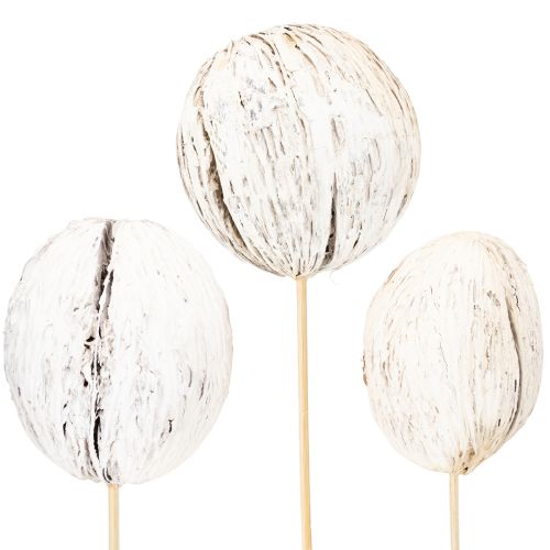 Floristik24 Mintolla Ball on Stick Mix whitewashed 6 pcs