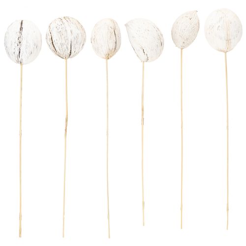 Product Mintolla Ball on Stick Mix whitewashed 6 pcs