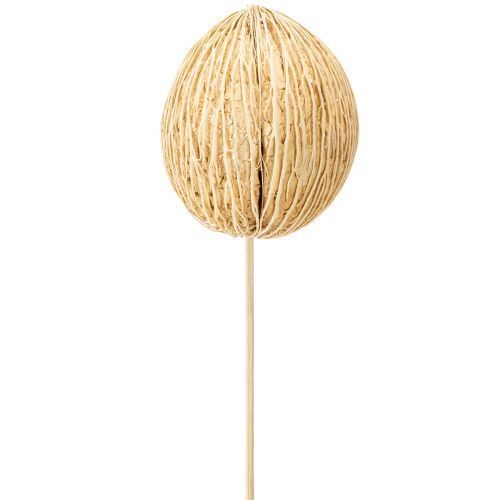 Floristik24 Mintolla ball bleached 8cm - 10cm L46cm 6 pcs