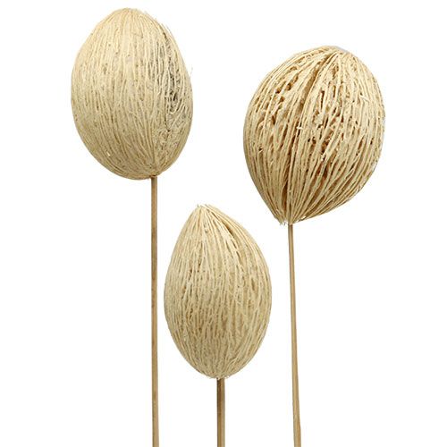 Mintolla ball bleached 8cm - 10cm L46cm 6pcs