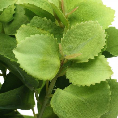 Floristik24 Artificial mint green, deco mint branches, silk flower L32cm 3pcs