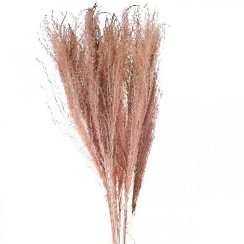 Product Dried grasses long pink feather grass decoration Miscanthus 75cm 10 pcs