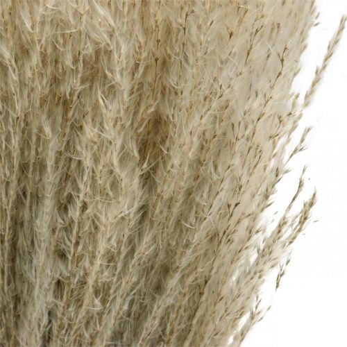 Product Dry Grass Miscanthus 55-75cm Feather Grass Natural 100p