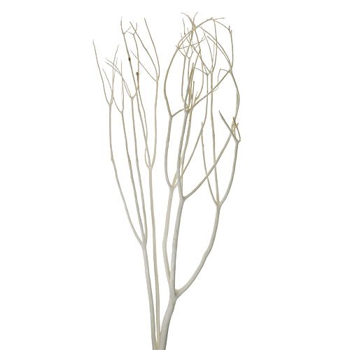 Floristik24 Mitsumata decorative branches 115cm bleached 3 pcs