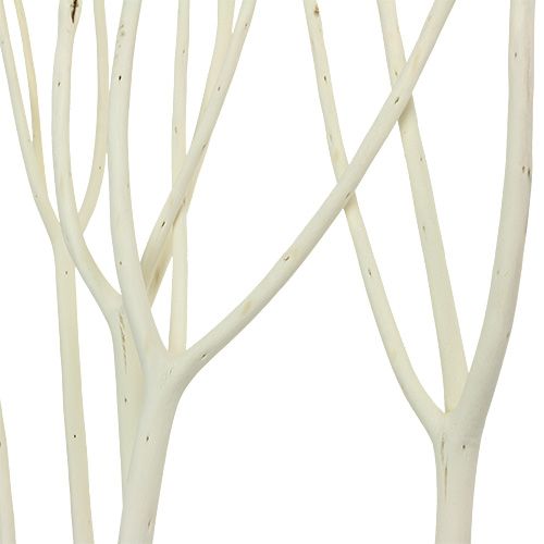 Floristik24 Mitsumata decorative branches 115cm bleached 3 pcs