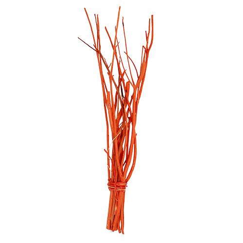 Floristik24 Mitsumata branches Orange 34-60cm 12pcs