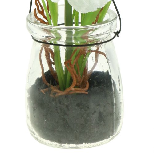 Product Poppy in glass for hanging. White. H22cm