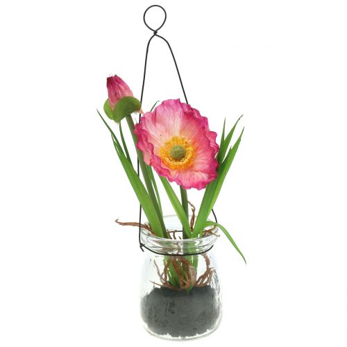 Floristik24 Poppy in glass for hanging Pink H22cm