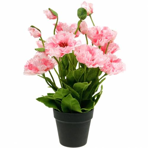 Floristik24 Oriental poppy, artificial flower, poppy in pink pot