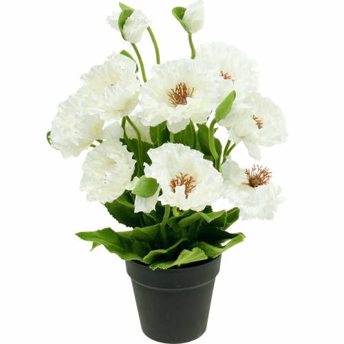 Poppy in a pot white silk flowers floral decoration