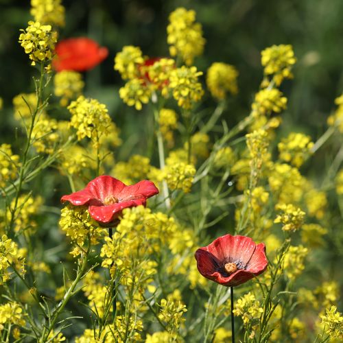 Product Garden stake poppy ceramic, unusual design for flower beds, 52cm, 2 pieces