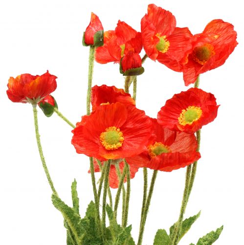 Poppy orange 60cm 3pcs