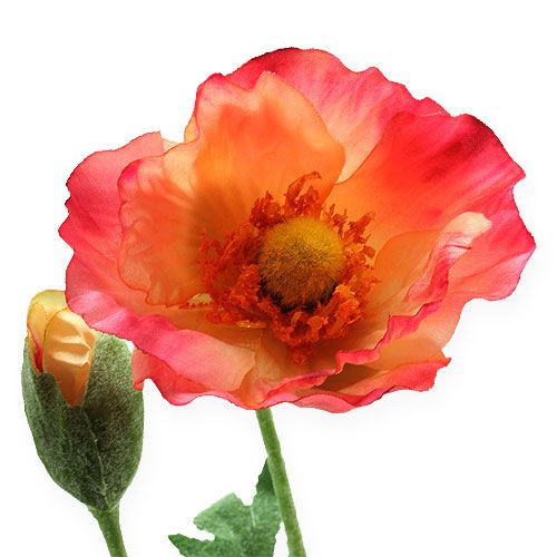 Product Artificial Poppy Pink, Yellow 74cm