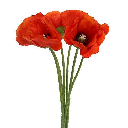 Floristik24 Poppy bouquet L28cm