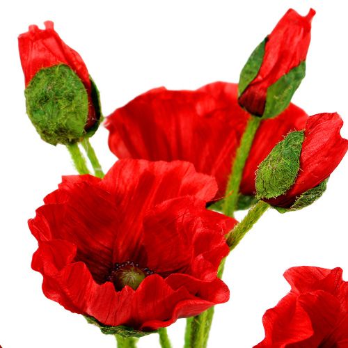 Product Poppies Red Ø7cm L48cm 4pcs