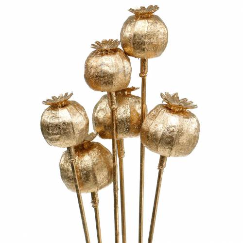 Floristik24 Poppy seed capsule on stick golden 59cm 6pcs