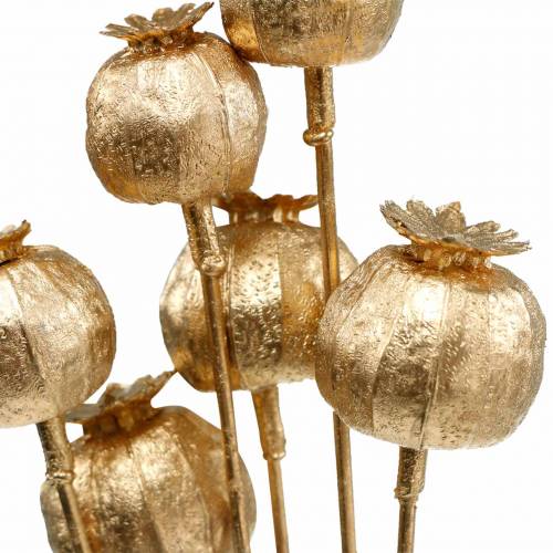 Floristik24 Poppy seed capsule on stick golden 59cm 6pcs