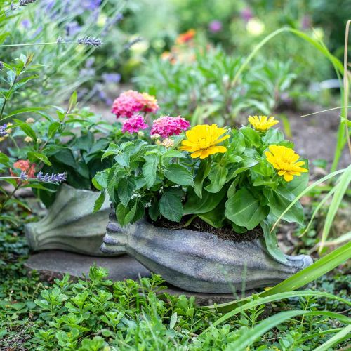 Floristik24 Poppy capsule for planting, concrete decoration, plant pot, garden decoration L29.5cm