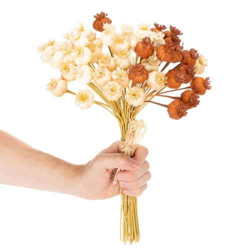 Artificial Poppy Seed Heads Bunch, Three Colors, 40 cm, 45 Pieces | Floristik24.co.uk