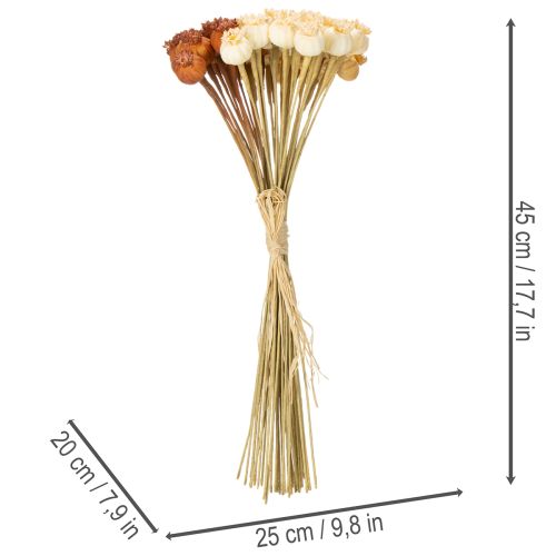 Artificial Poppy Seed Heads Bunch, Three Colors, 40 cm, 45 Pieces | Floristik24.co.uk