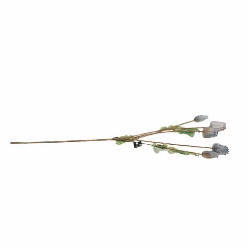 Product Artificial poppy seed pods yellow, brown H70cm