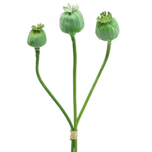 Product Poppy seed capsules decoration artificial poppy seeds on a stick green 58cm 3pcs in a bunch