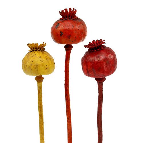 Poppy heads 3 colors sorted 100 pcs