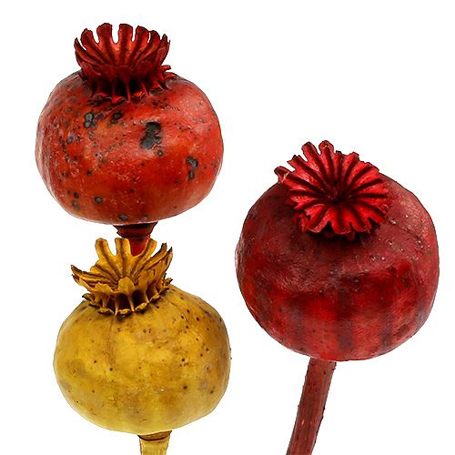 Product Poppy heads 3 colors sorted 100 pcs