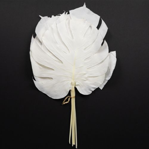 Floristik24 Monstera leaves bleached decorative window leaf H40cm 5 pcs